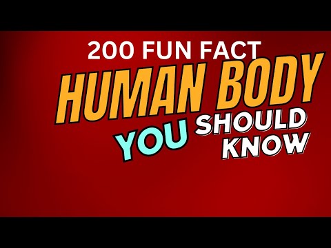 Unlock the Secrets: Explore Fascinating Human Physiology Today!