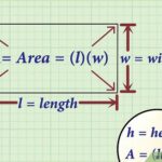 discover the secrets unlocking the mysteries of rectangle width