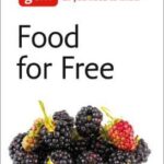 uncover hidden gems a comprehensive guide to free food resources