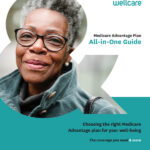 uncover the ultimate guide to finding the perfect wellcare provider