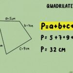 unlock the secrets discover the art of perimeter calculation